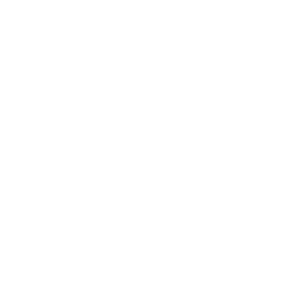 Configure Icon