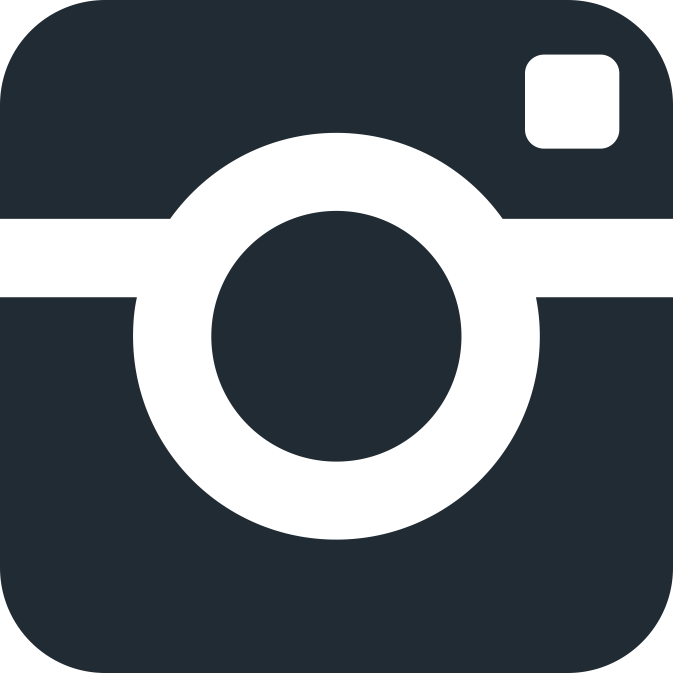 Instagram Icon